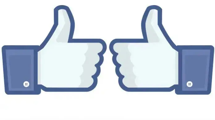 Instant-Facebook-Photo-Likes-Provided-by-Instant-Famous 