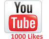 1000 YouTube Likes
