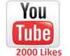 2000 youtube likes