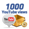 1000 Youtube Views