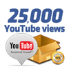 25000 YouTube views