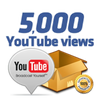 5000 Youtube Views